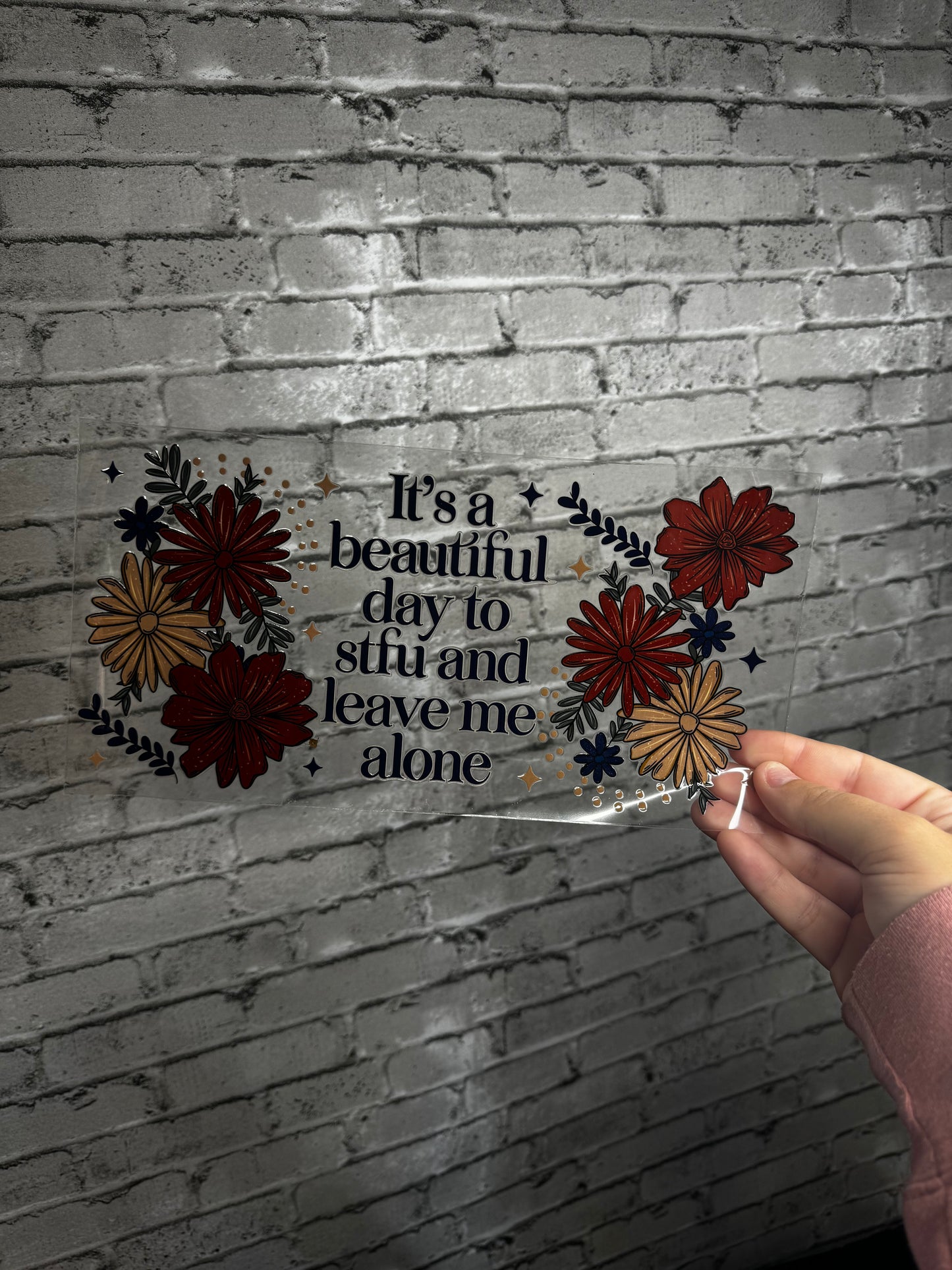 16 OZ ITS A BEAUTIFUL DAY TO STFU GLASS CUP